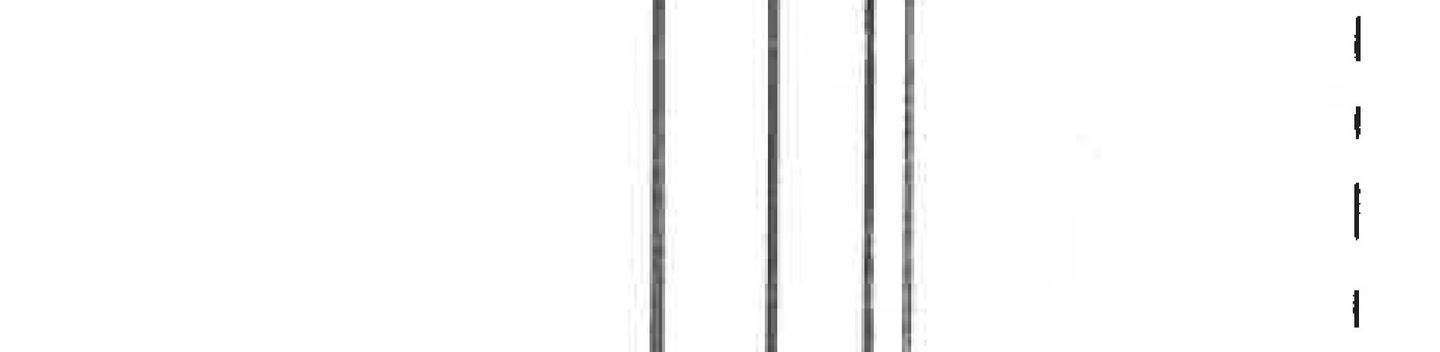 Verkaufshalle - Ansicht Süd