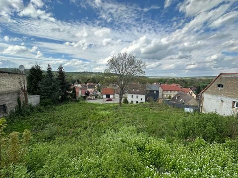 Naumburg (Saale) Grundstücke, Naumburg (Saale) Grundstück kaufen