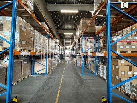 Dortmund Halle, Dortmund Hallenfläche