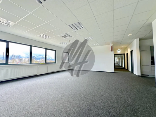 INFOS UNTER: 06171-586000