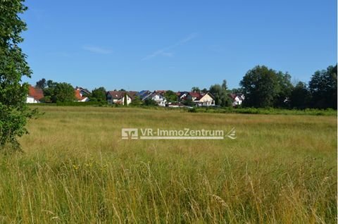 Weil Bauernhöfe, Landwirtschaft, Weil Forstwirtschaft