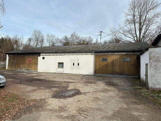 WhatsApp Image 2026-01-16 at 13.19.54.jpeg