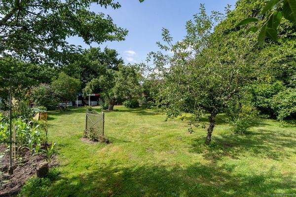 Garten mit Obstbaumbestand