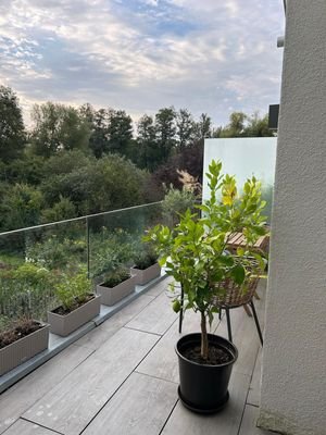 Balkon Südost-Ausrichtung.jpg