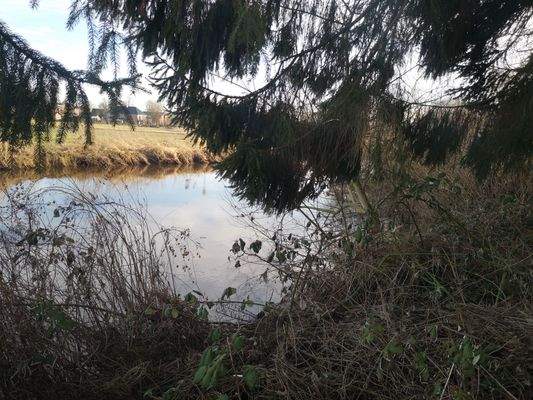 EFH Kellinghusen Stör I