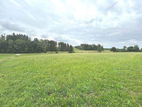 Kettershausen-Zaiertshofen Bauernhöfe, Landwirtschaft, Kettershausen-Zaiertshofen Forstwirtschaft