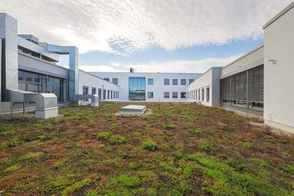 Begrüntes Dach Innenbereich