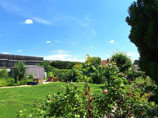 Gartengrün (1)