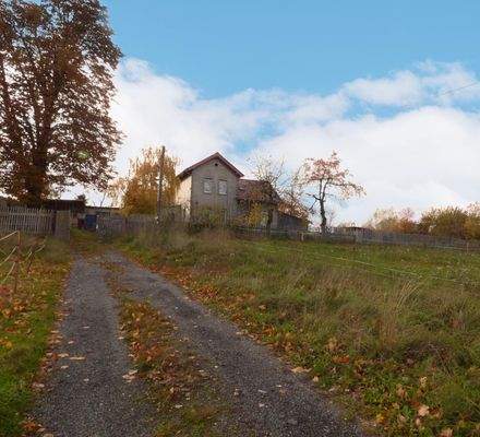Blick zum Haus mit Zuwegung