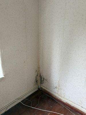 WhatsApp Image 2026-02-13 at 15.12.02 (1).jpeg