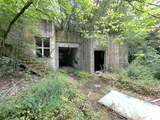 Suedwest Ansicht bewachsen