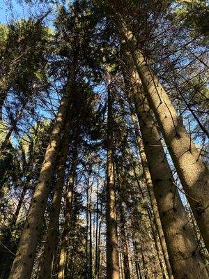 2025-11-05 13.08.59.jpg