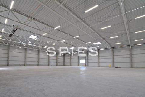 Bremen Halle, Bremen Hallenfläche