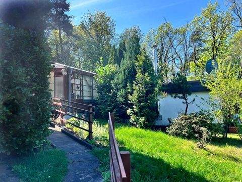 Oelsnitz/Erzgebirge Grundstücke, Oelsnitz/Erzgebirge Grundstück kaufen