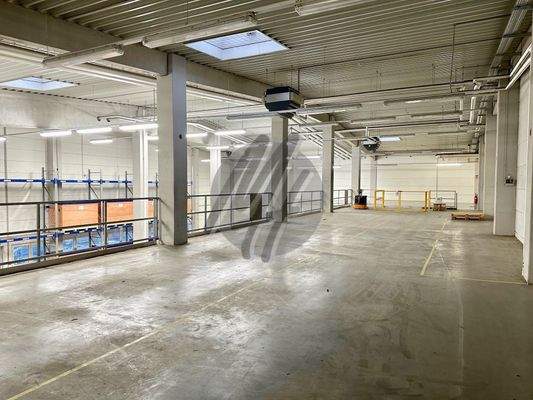 INFOS UNTER: 06171-586000