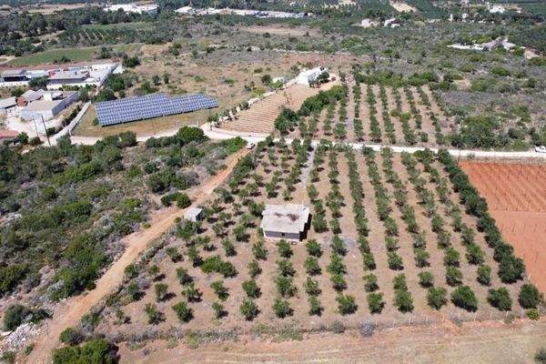 Kreta, Mouzouras: Flaches Grundstück mit Panoramablick zu verkaufen