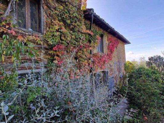 78LAzienda_ agricola_Toskana.jpg