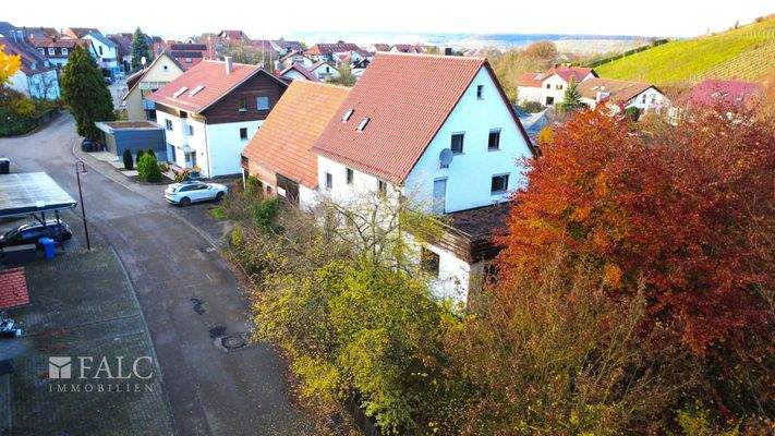 Was für ein Prachtstück!