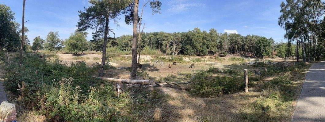 Ferienhaus kaufen Nord-Braband027