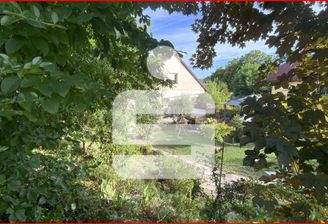 Blick über den Zaun I