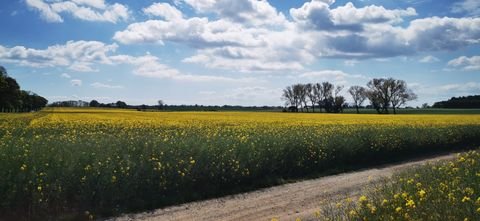 Basedow Grundstücke, Basedow Grundstück kaufen