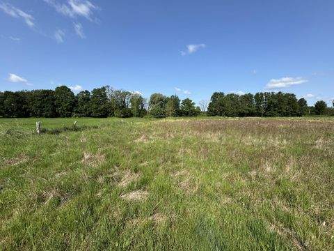 Dannenberg Bauernhöfe, Landwirtschaft, Dannenberg Forstwirtschaft