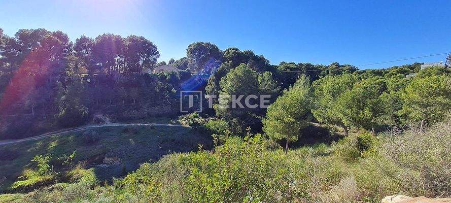 Standalone Villa with a Swimming Pool in Pinar de Campoverde