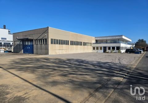Meckenheim Halle, Meckenheim Hallenfläche