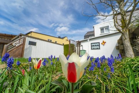 Chemnitz  / Wittgensdorf Häuser, Chemnitz  / Wittgensdorf Haus kaufen