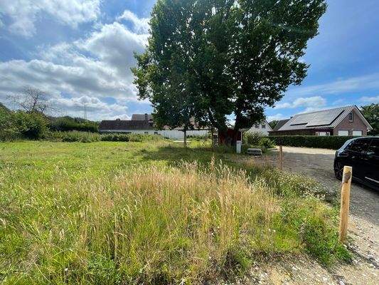 Blick in Richtung Grundstück 4