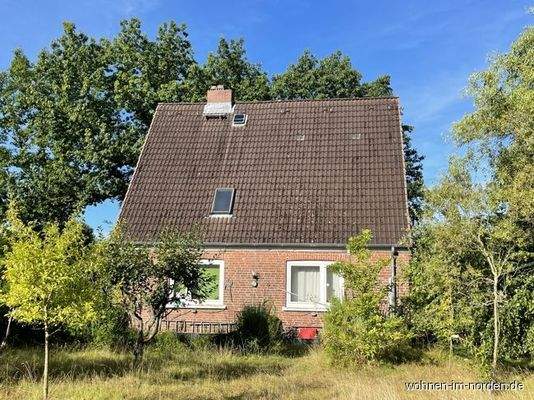 Sommeransicht Garten