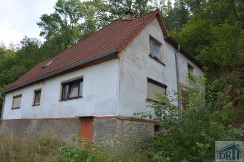 Hainewalde Häuser, Hainewalde Haus kaufen