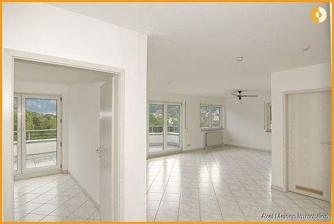 Heidelberg / Ziegelhausen Wohnungen, Heidelberg / Ziegelhausen Wohnung kaufen