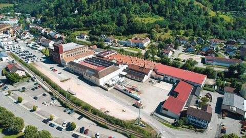 Zell im Wiesental Halle, Zell im Wiesental Hallenfläche