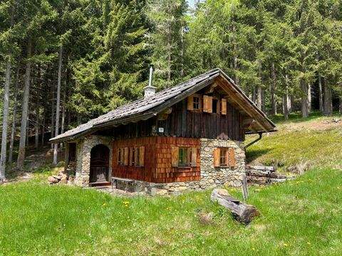 Irschen Bauernhöfe, Landwirtschaft, Irschen Forstwirtschaft