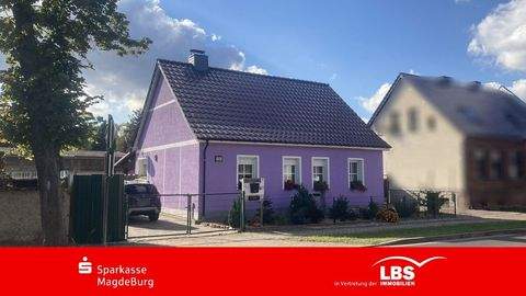 Güsen Häuser, Güsen Haus kaufen