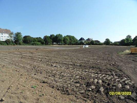 Bautenstand 020822 (9).JPG