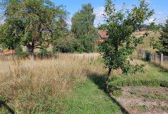20260824_101010.jpg