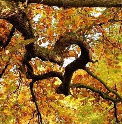 herbstlich willkommen