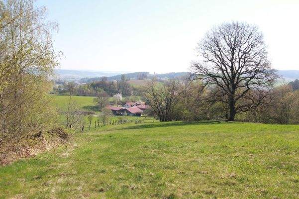 Blick zum Hof von der Koppel