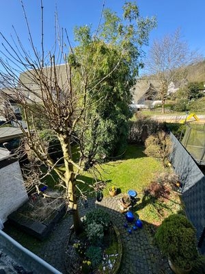 Ausblick in den Garten