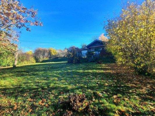 Viel Garten, viel Sonne