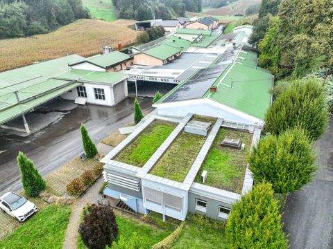 Kapfenstein Halle, Kapfenstein Hallenfläche