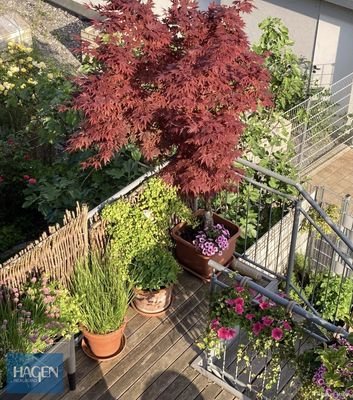 Ausblick Balkon