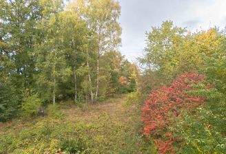 Blick auf das Grundstück