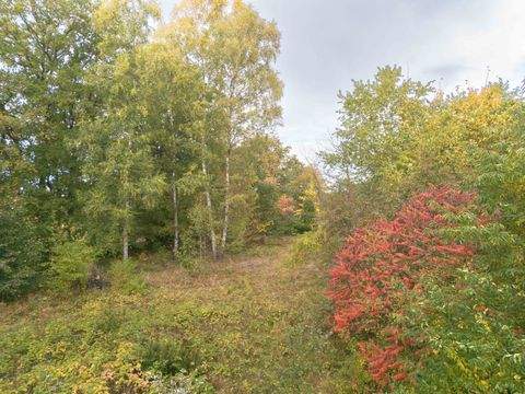 Quickborn Grundstücke, Quickborn Grundstück kaufen