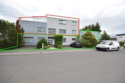 Rodgau Halle, Rodgau Hallenfläche