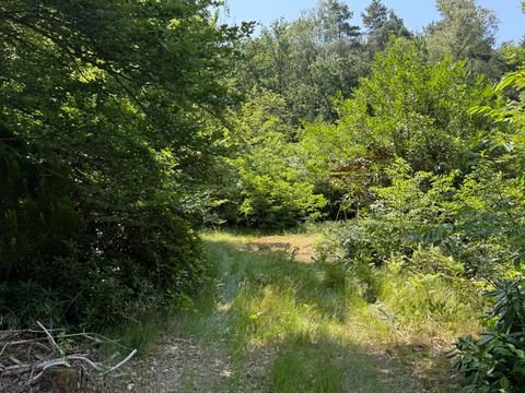 Rullstorf Grundstücke, Rullstorf Grundstück kaufen