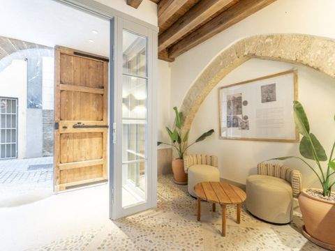 Palma de Mallorca Wohnungen, Palma de Mallorca Wohnung kaufen