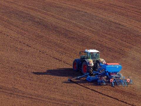 Parchim Bauernhöfe, Landwirtschaft, Parchim Forstwirtschaft